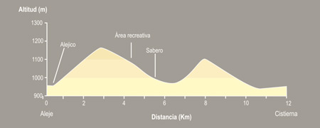 De Aleje a Cistierna