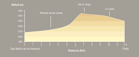 De San Martín a Triollo