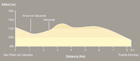 De San Pedro de Cansoles a Puente Almuhey