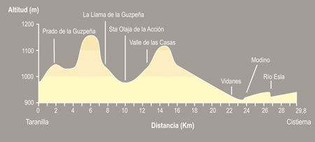 De Taranilla a Cistierna
