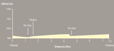 De Vidanes a Cistierna