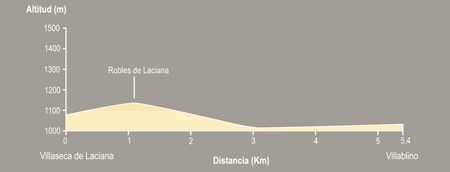 De Villaseca de Laciana a Villablino