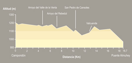 De Campondón a Puente Almuhey