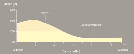 De La Ercina a Cistierna