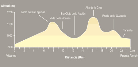 De Vidanes a Puente Almuhey