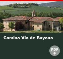 Camino Via Bayona