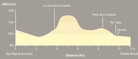 De Santa Olaja a Puente Almuhey